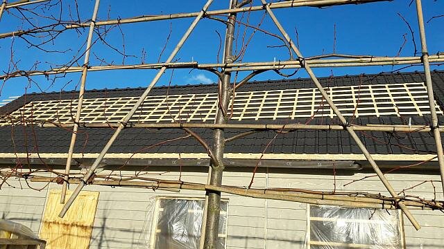 IMG-20171117-WA0000